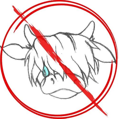 No Bull Biz Launch