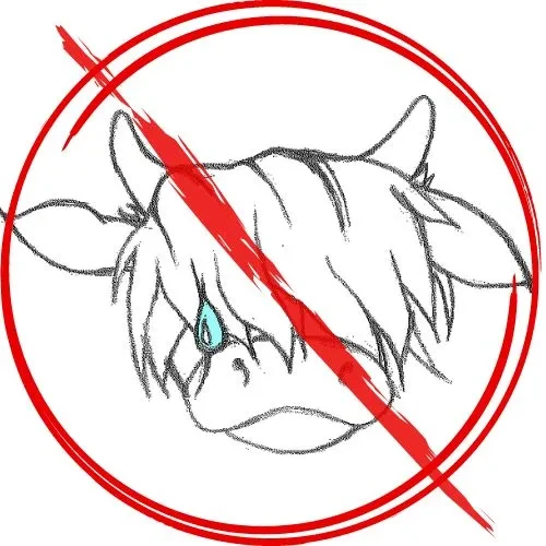 No Bull Biz Launch logo