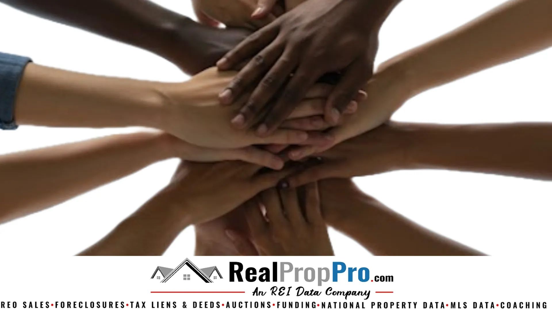 RPP Investor Hub
