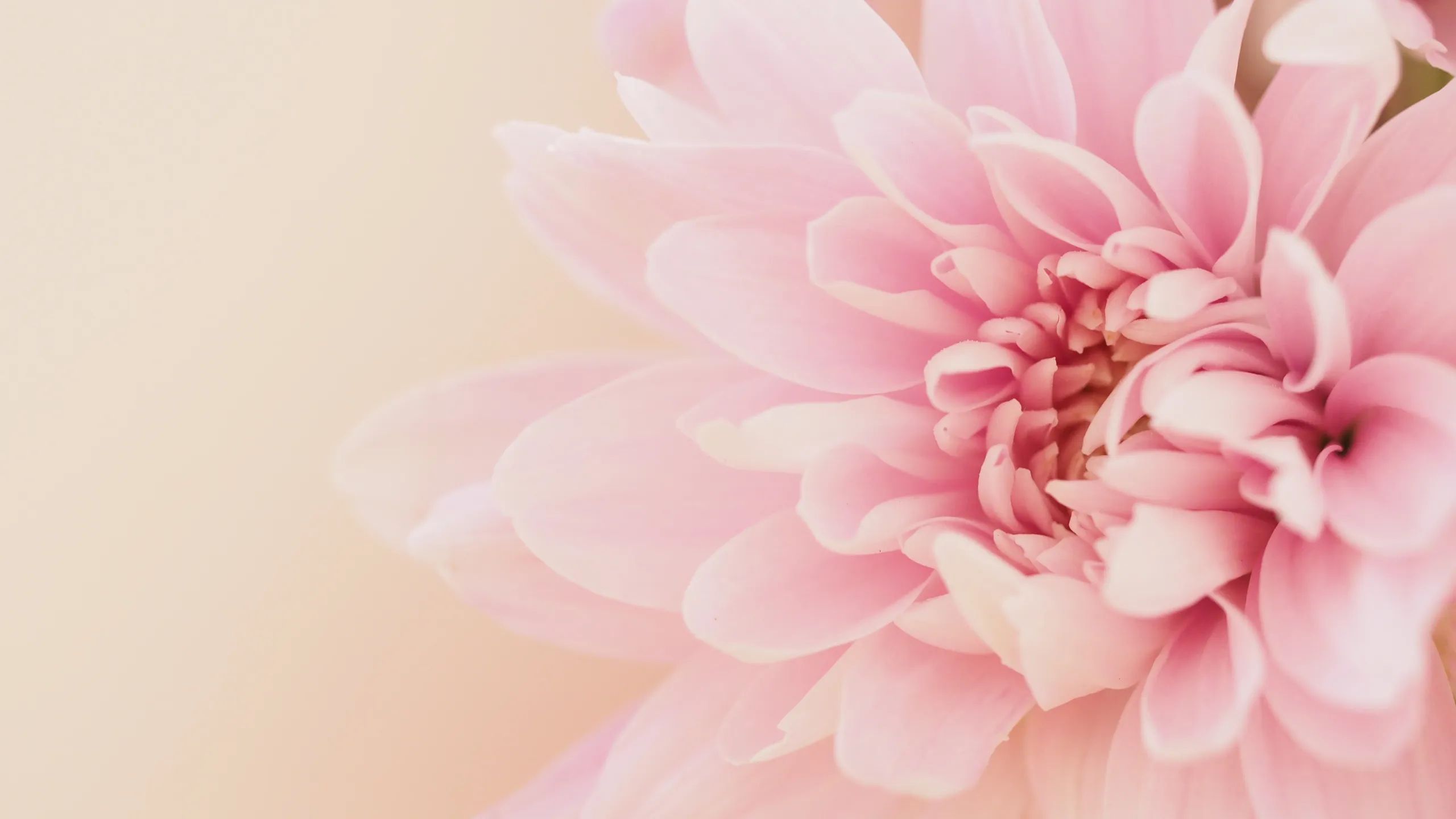 Florescence banner