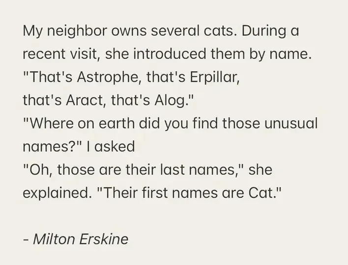 For all you cat owners. 🐈‍⬛