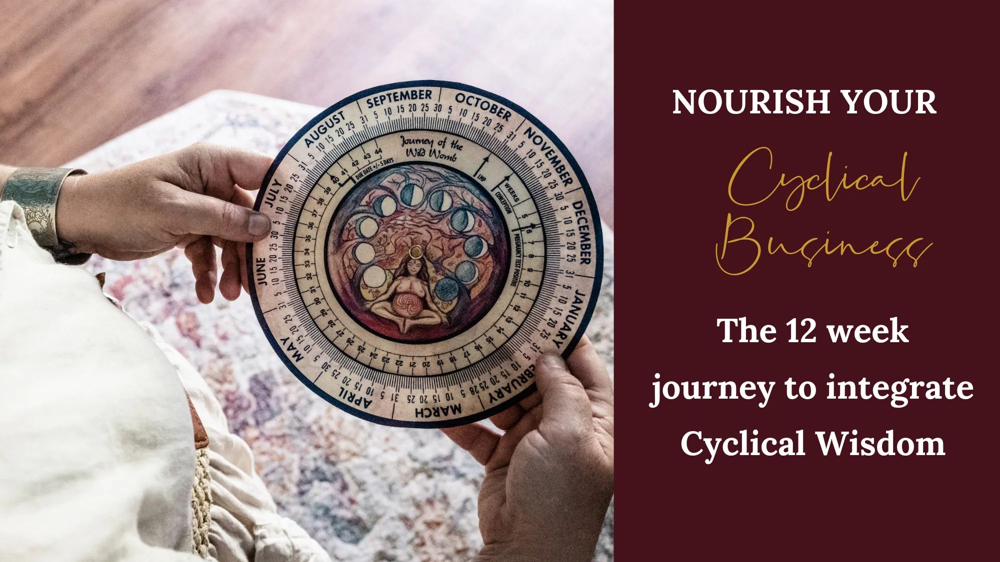 Nourish your Cyclical Business
