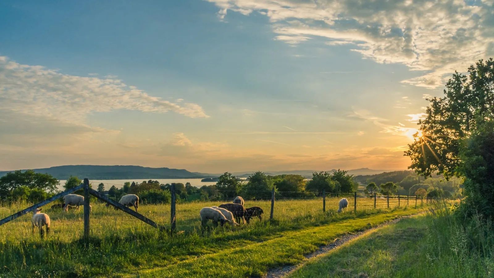 Farm Where You Live Vendor Hub