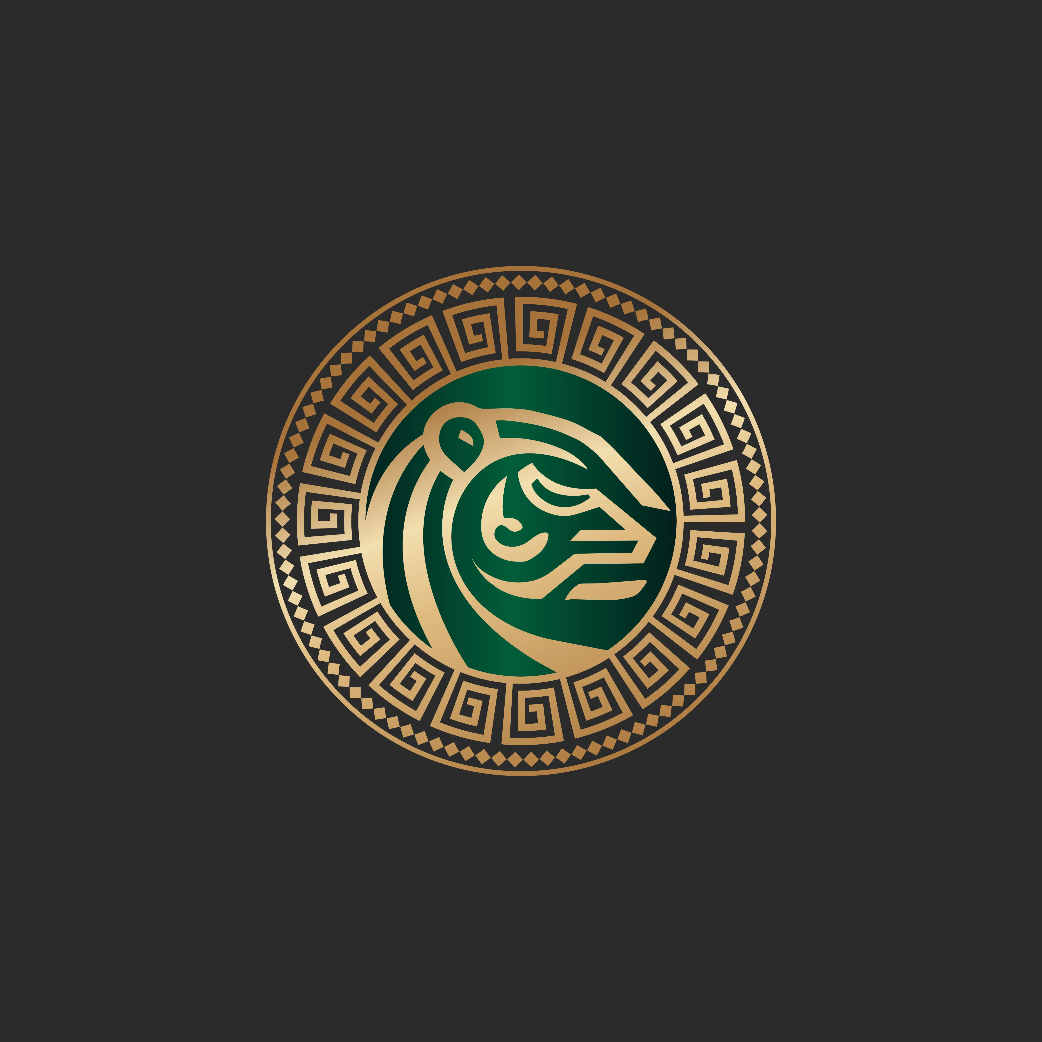 Latino Millionaire Community logo