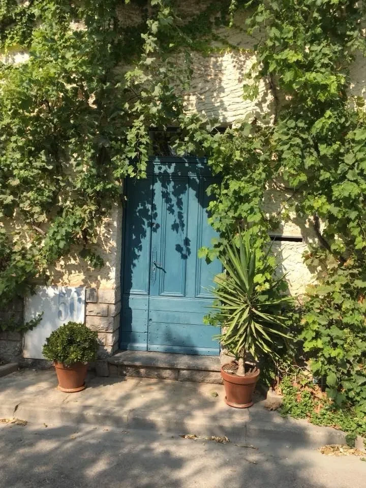 French Door Paint Along