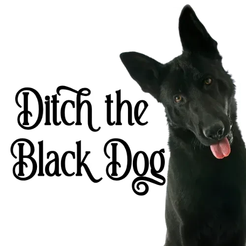 The Black Dog Cafe
