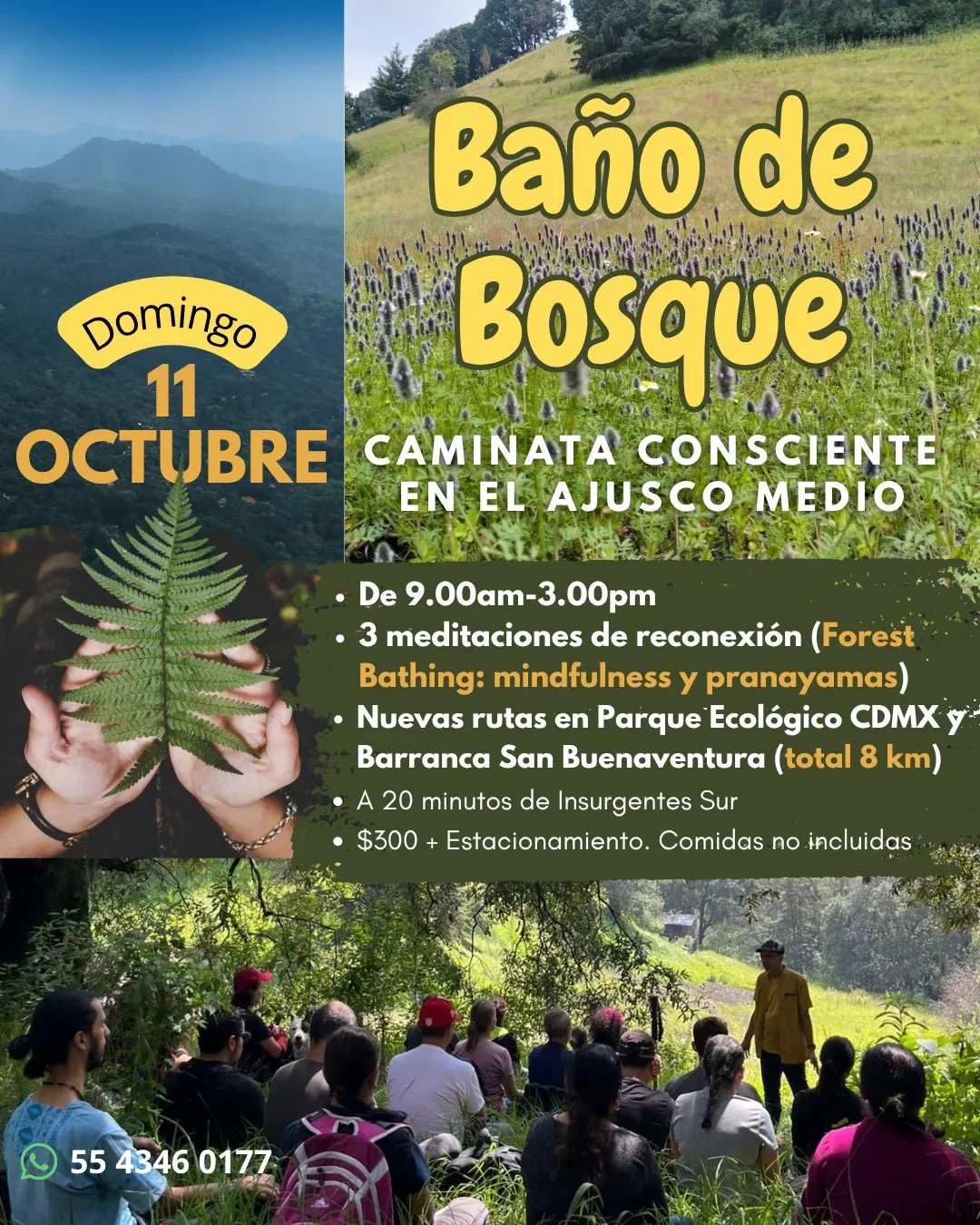 INVITACIÓN (La Sostenibilidad empieza por la empatía profunda con la naturaleza)).