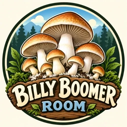 Billy Boomer Room