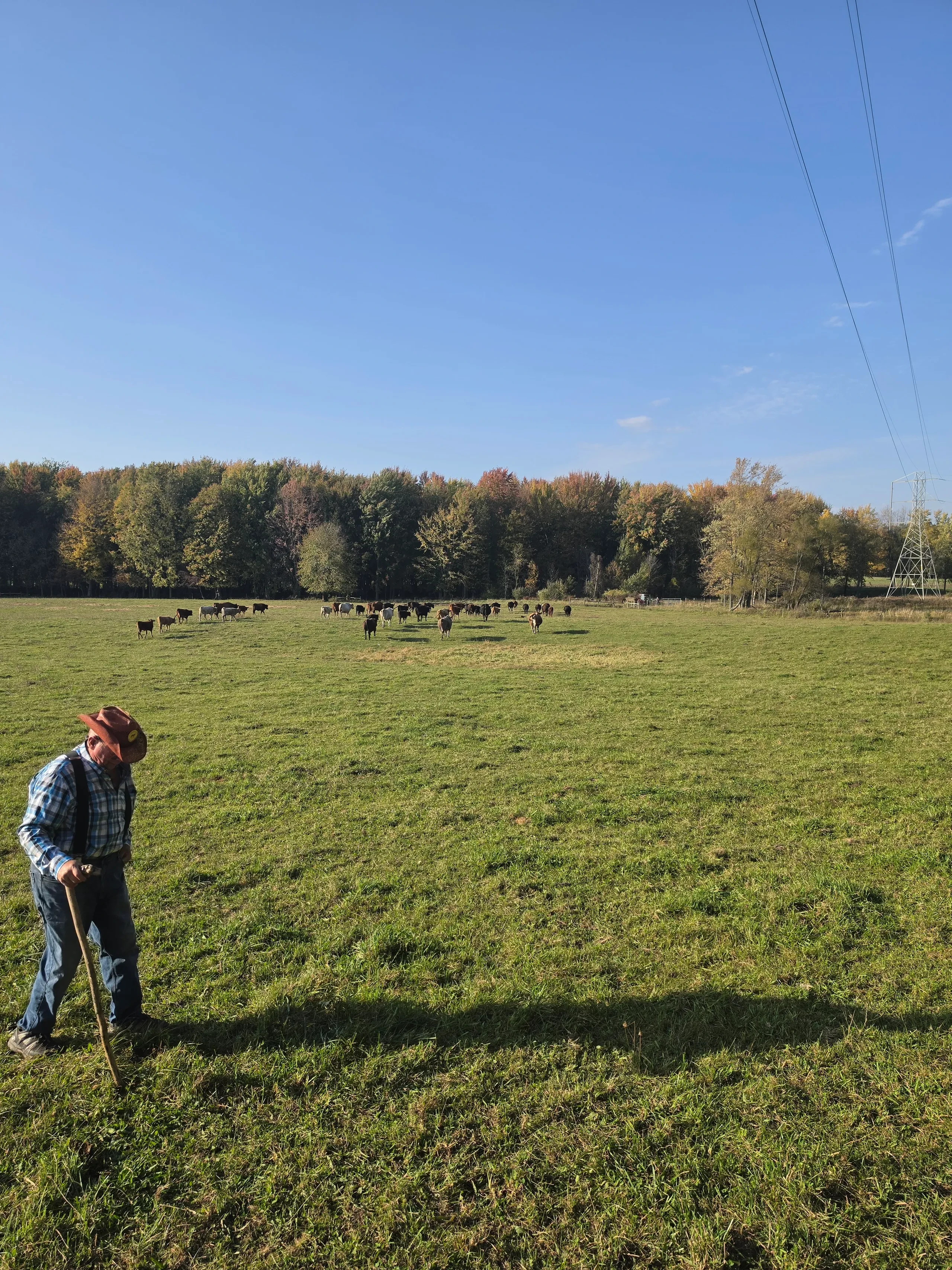 Day 1 of the new ABA Beefalo Promotional video