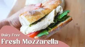 Vegan Mozzarella lesson poster