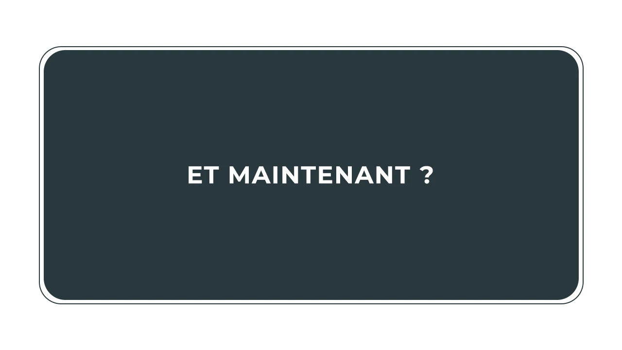 Qu'est-ce qu'on fait maintenant ? lesson poster