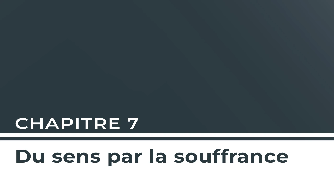 Chapitre 7 - Du sens par la souffrance lesson poster