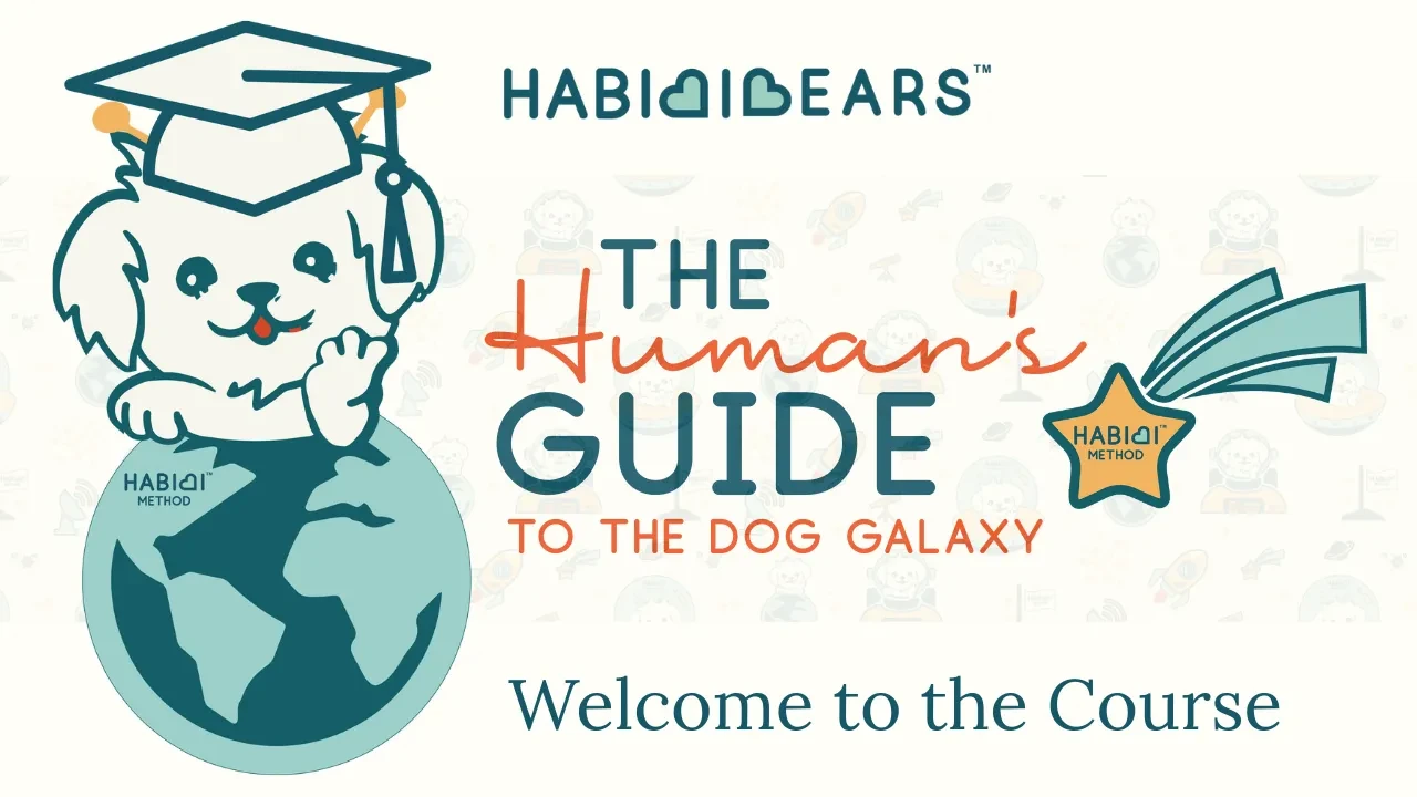 Welcome to The Human's Guide to the Dog Galaxy - ACCESS HERE lesson poster