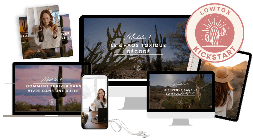 Le Lowtox KickStart