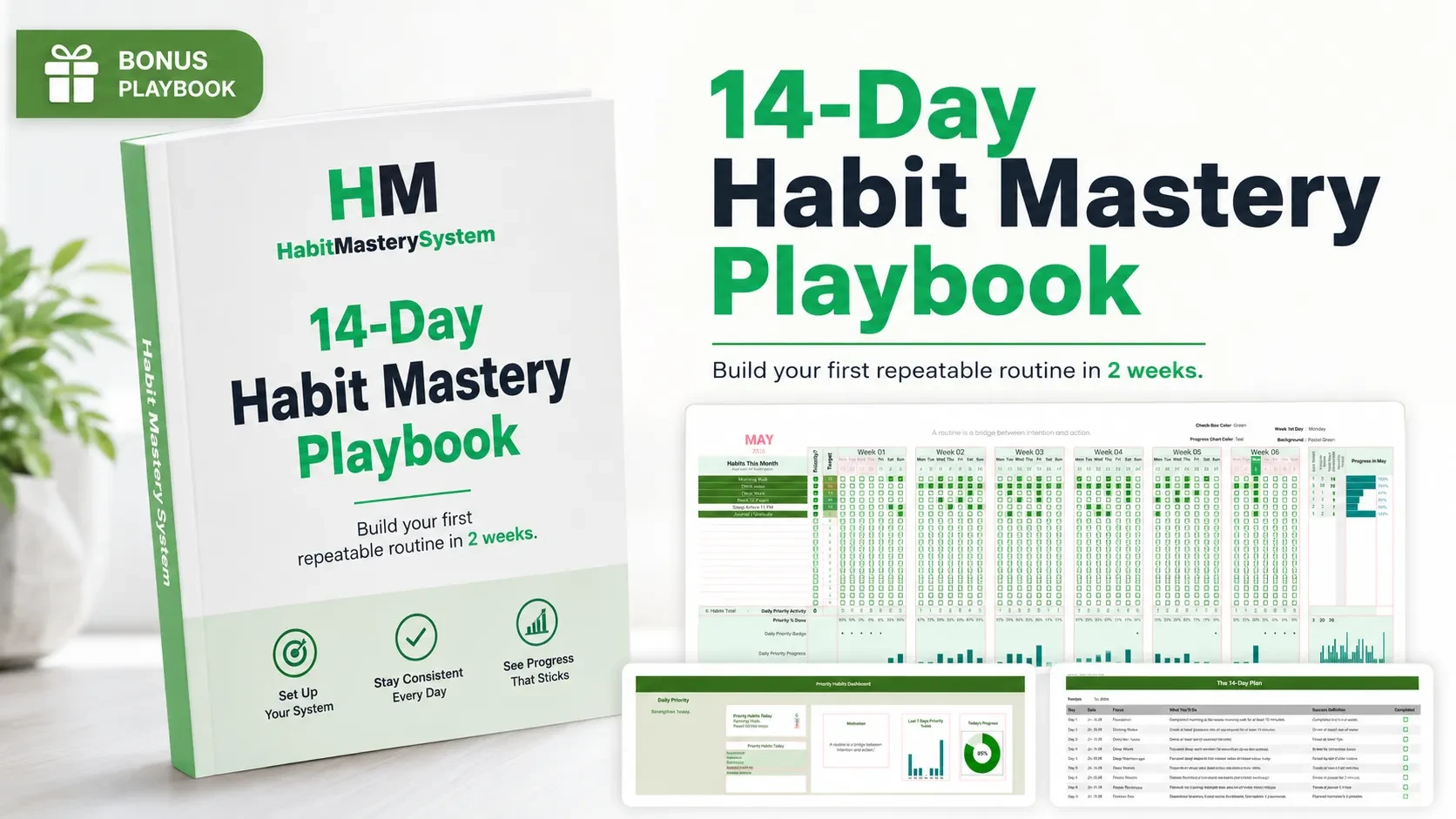 14-Day Habit Mastery Playbook lesson poster