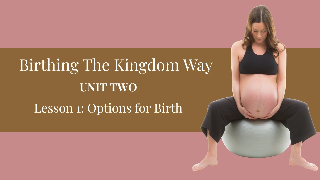 Unit 2: Options for Birth lesson poster