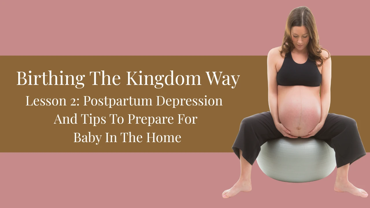 Unit 4 Lesson 2: Postpartum Depression And Tips To Prepare For Baby In The Home lesson poster