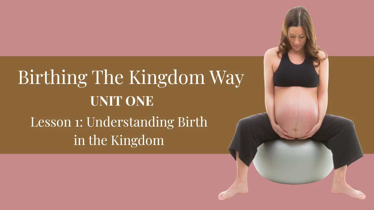 Unit 1:  Understanding Birth in the Kingdom lesson poster