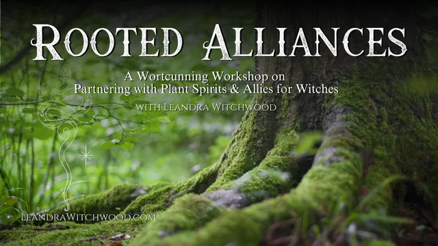 Rooted Alliances: A Wortcunning Workshop