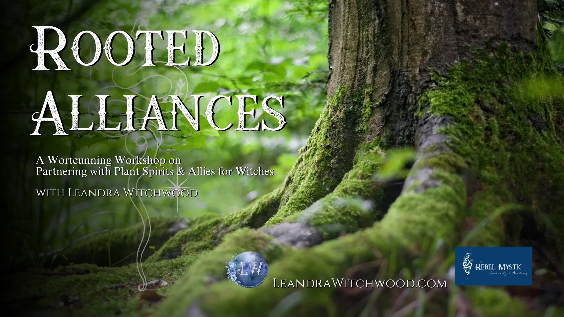 Rooted Alliances Workshop lesson poster