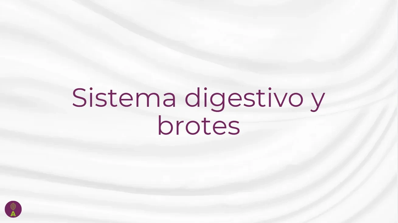 Sistema digestivo y brotes lesson poster