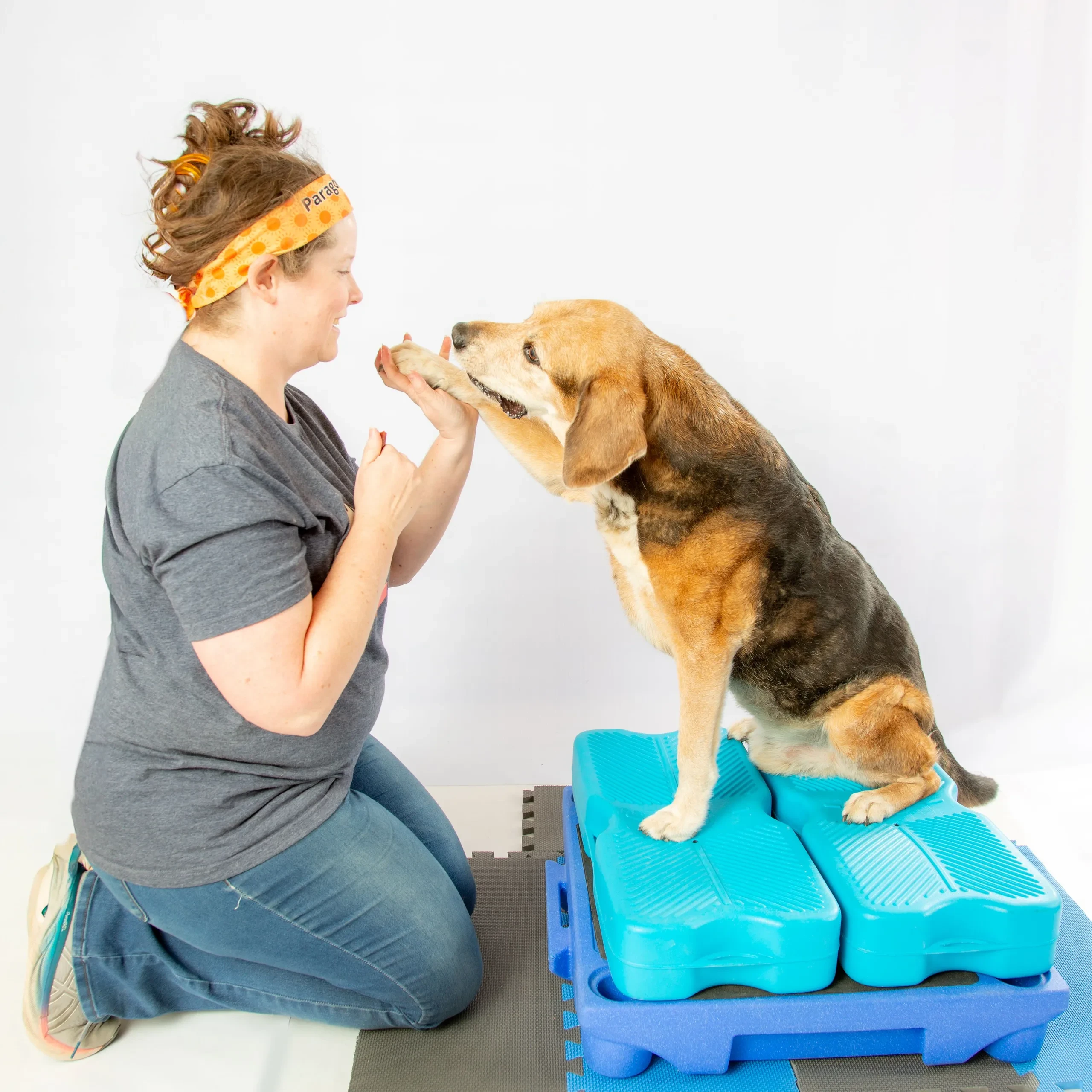 Cavalettis for All Dogs logo