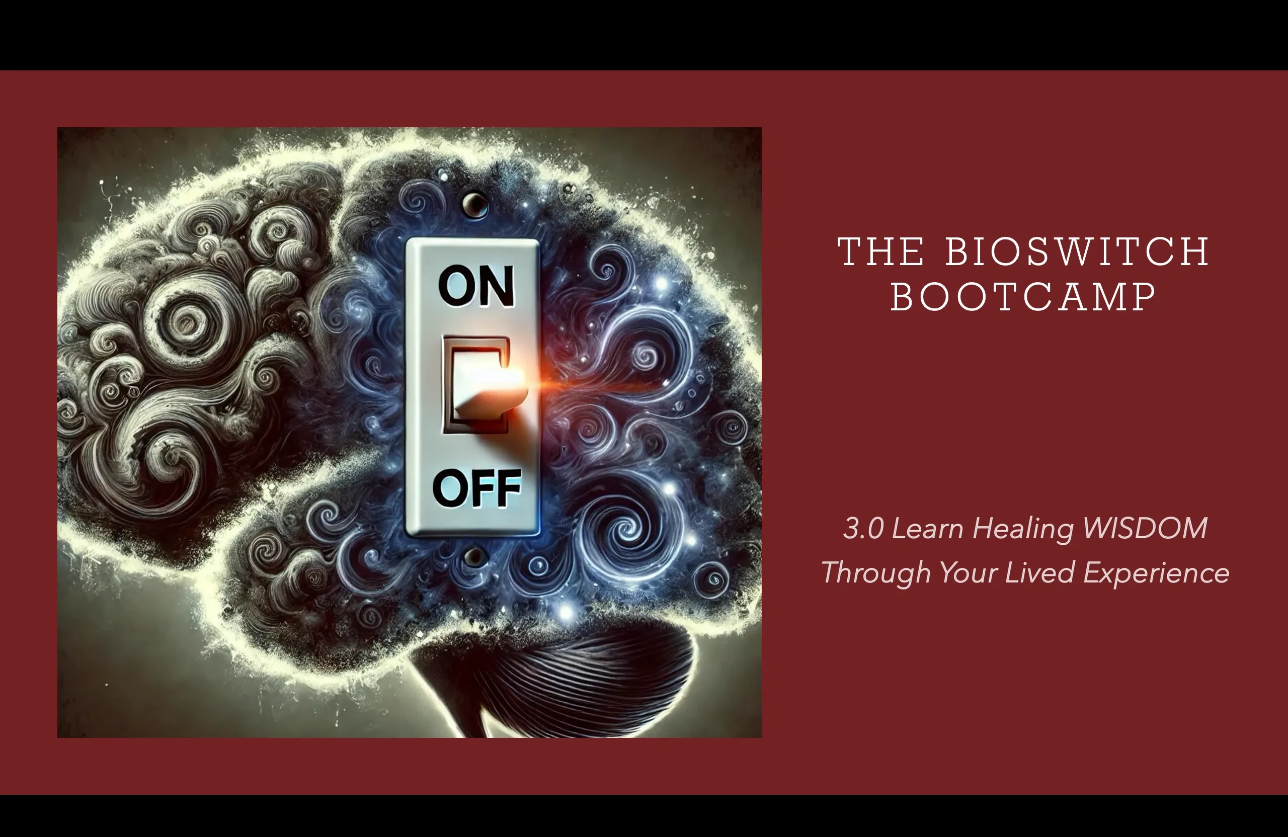 Bioswitch Workbook: Learn Healing WISDOM Through Your Lived Experience lesson poster