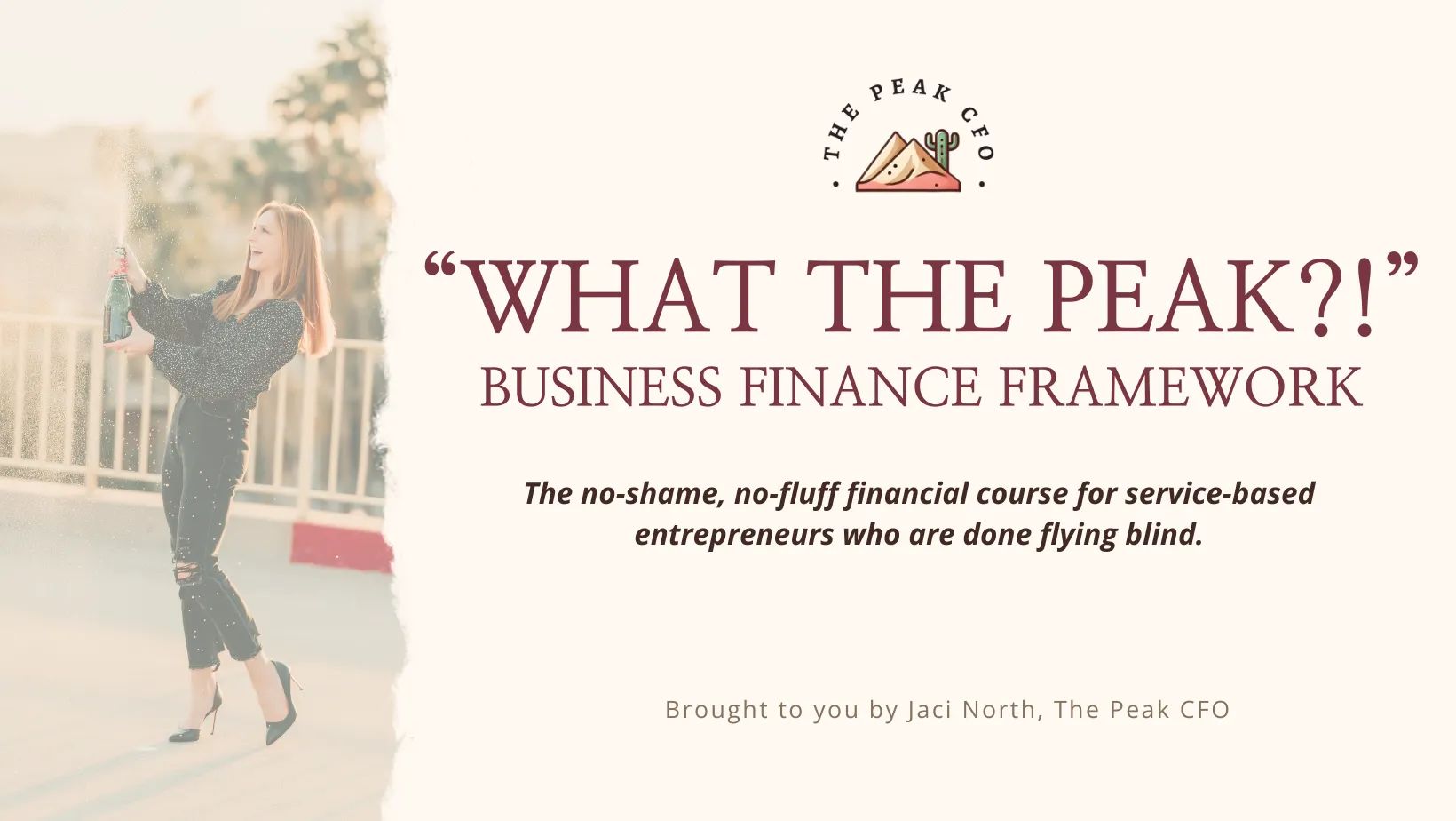 "What The Peak?!" Business Finance Framework