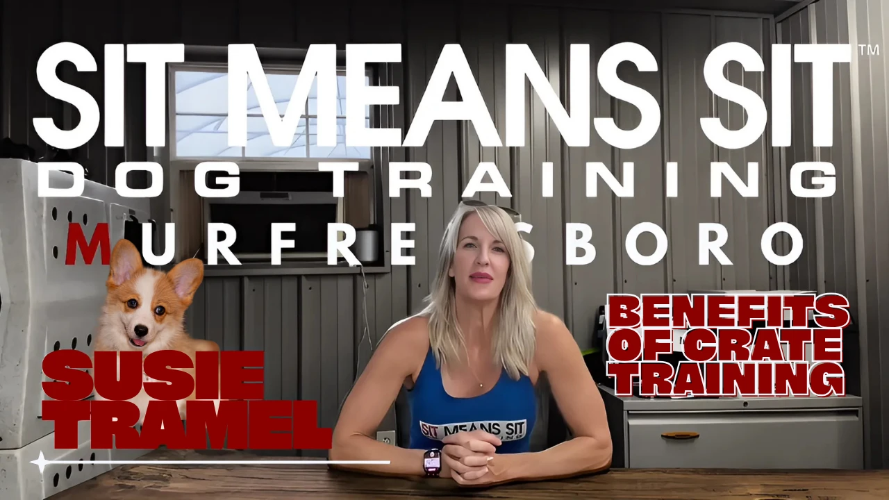 Welcome to the training course lesson poster