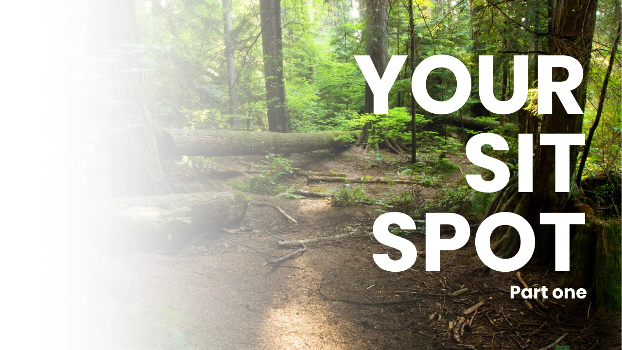Finding Your "Sit Spot" lesson poster