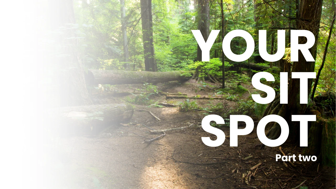 The Power of Your Sit Spot lesson poster