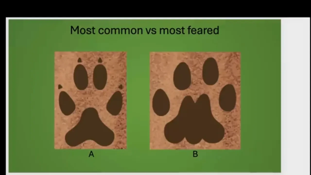 Lesson 2: Track ID: Most Common vs Most Feared lesson poster