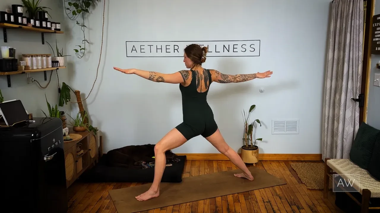 Vinyasa Series: Day 3 of 4 lesson poster