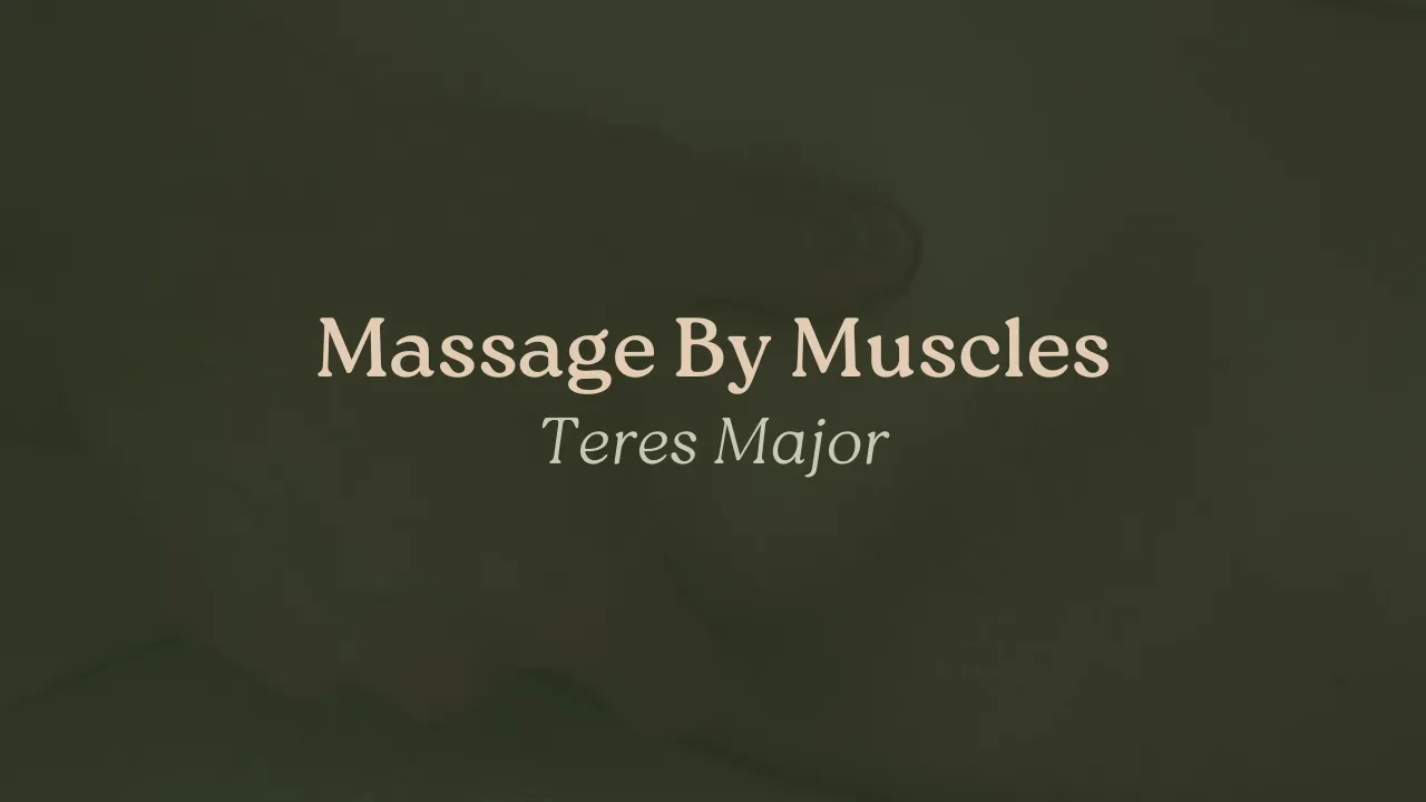 Teres Major lesson poster