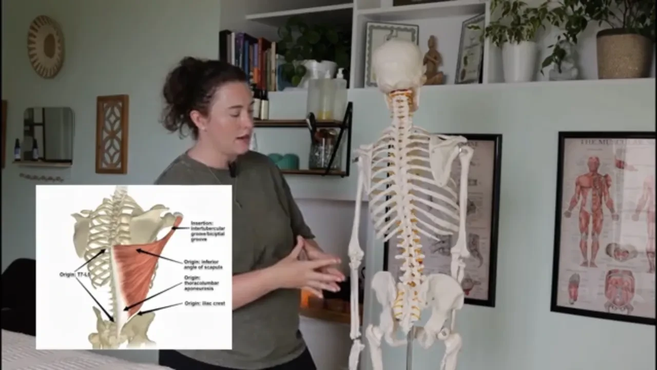 Latissimus Dorsi lesson poster