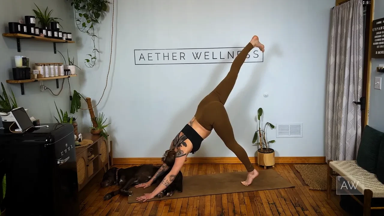 Vinyasa Series: Day 4 of 4 lesson poster