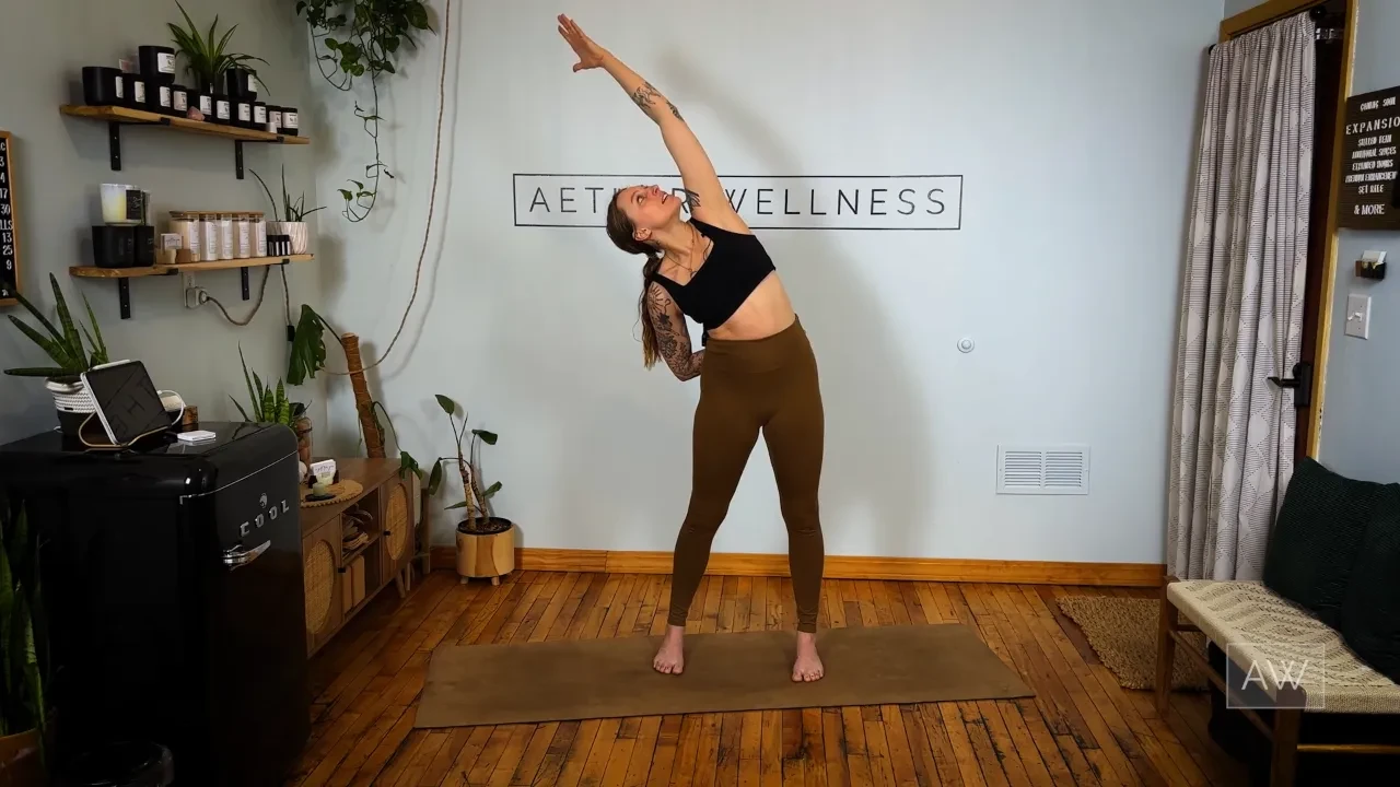 Vinyasa Series: Day 1 of 4 lesson poster