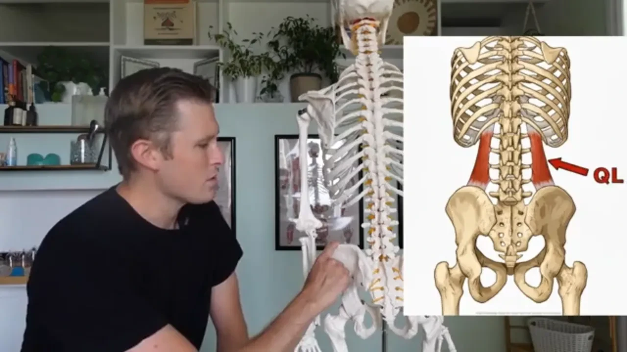 Quadratus Lumborum lesson poster