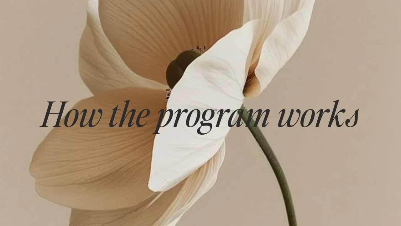 How This Program Works lesson poster