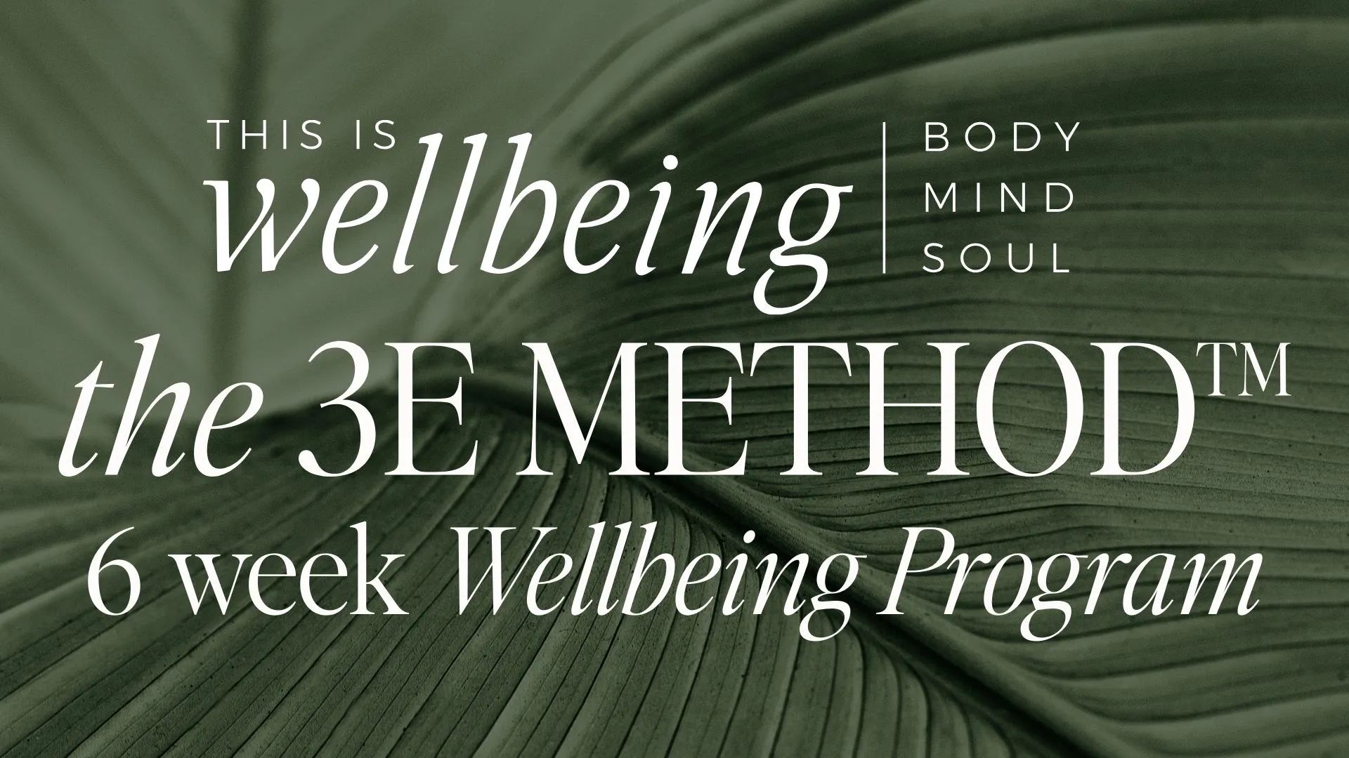 The 3E Method™ Wellbeing Program : Feb 2026 Intake