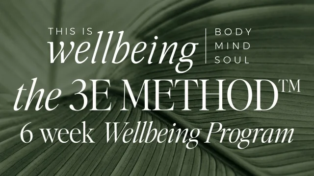 The 3E Method™ Wellbeing Program : Feb 2026 Intake