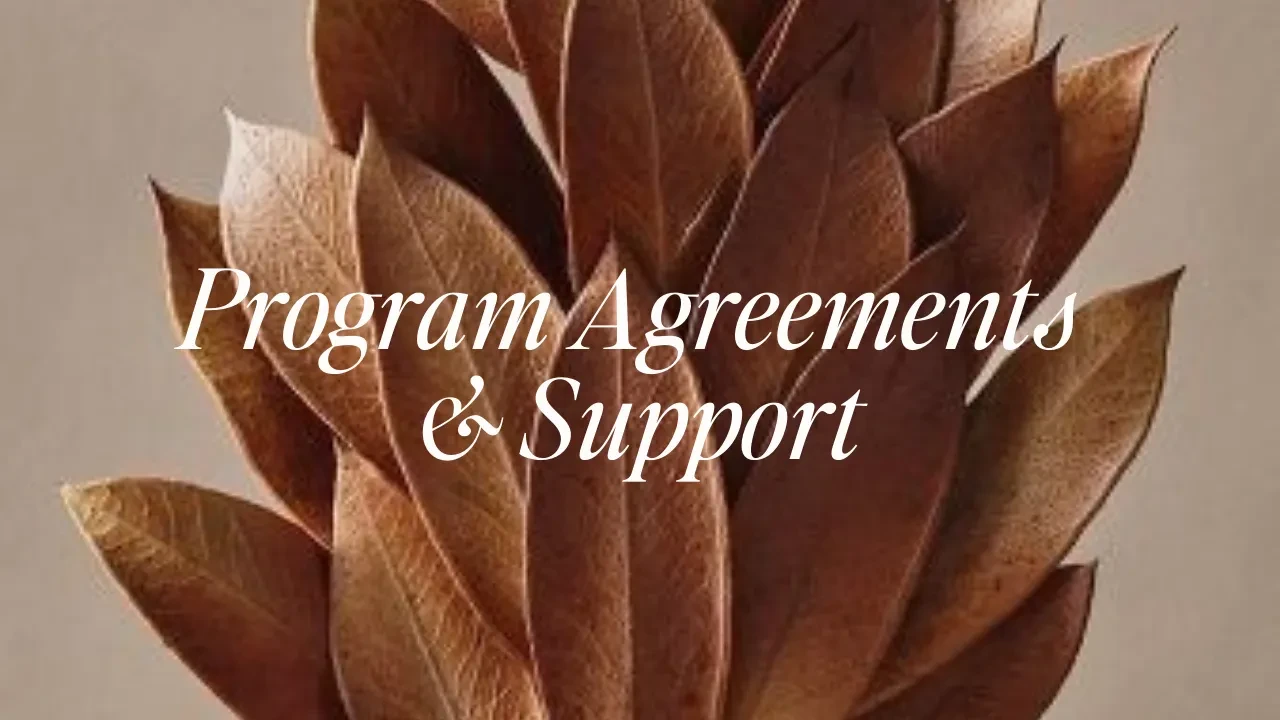 Program Agreements & Support lesson poster