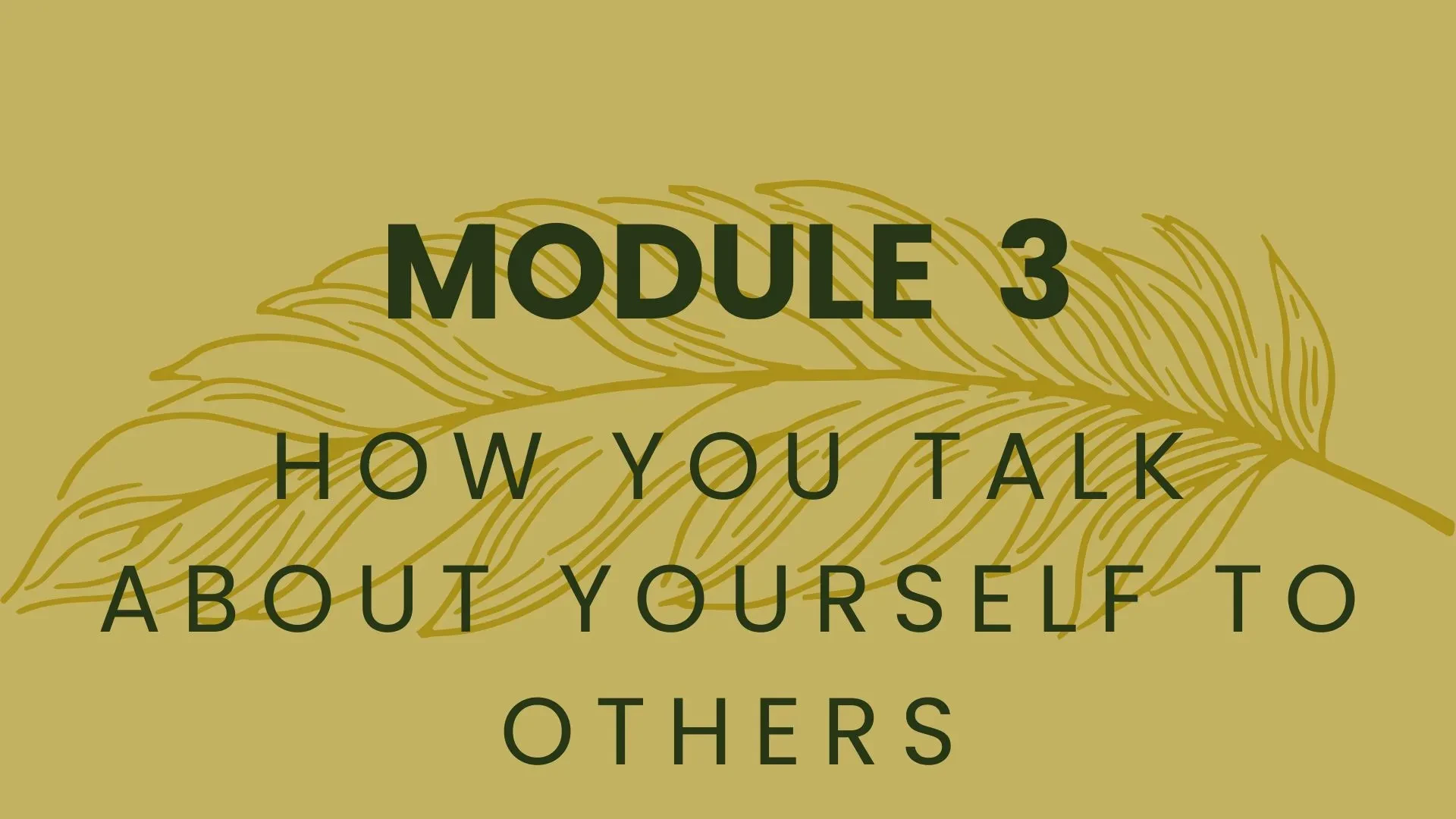 Module 3: How You Talk About Yourself to Others lesson poster