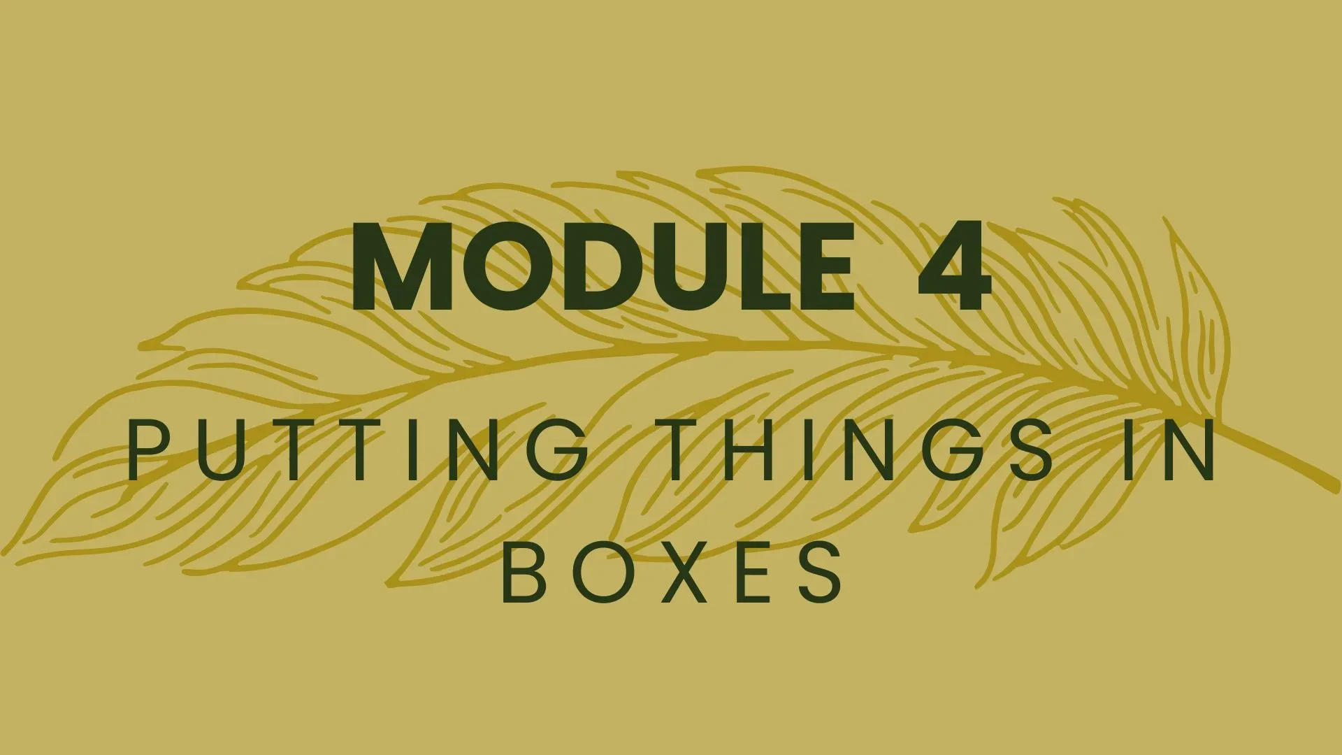 Module 4: Putting Things in Boxes lesson poster