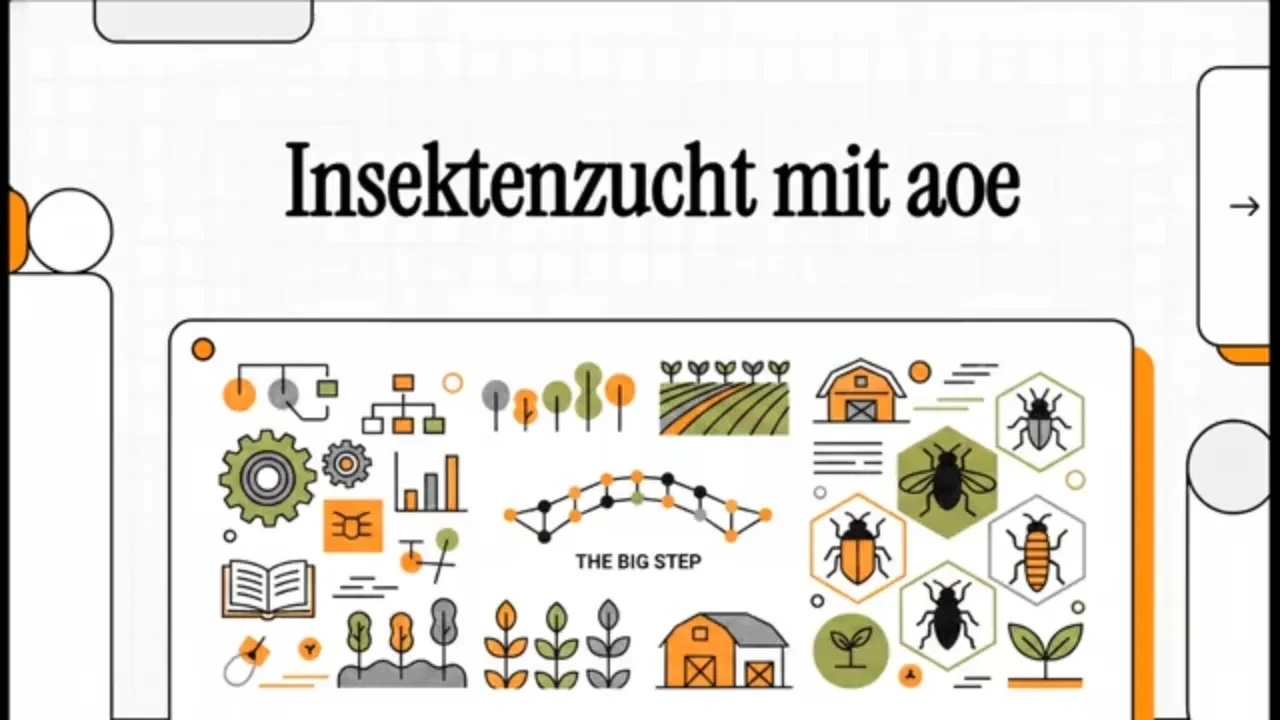 7.Nächste Schritte mit AOE lesson poster