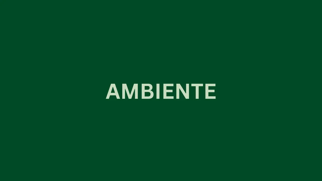Ambiente lesson poster