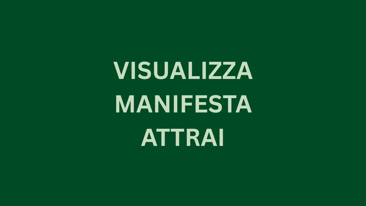 Visualizza - Manifesta - Attrai lesson poster
