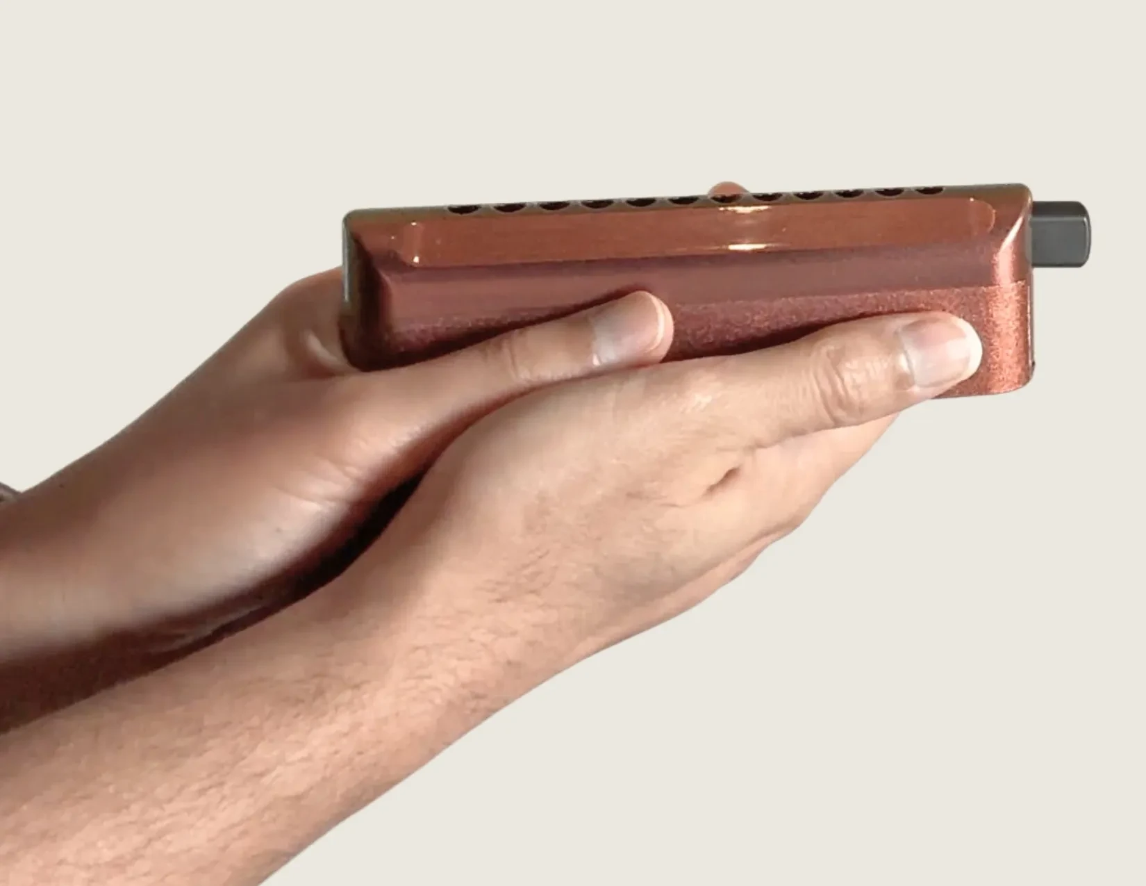 Holding the Harmonica lesson poster