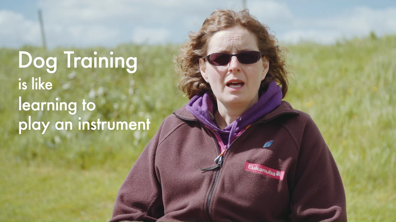 Dog training is like learning to play a musical instrument lesson poster