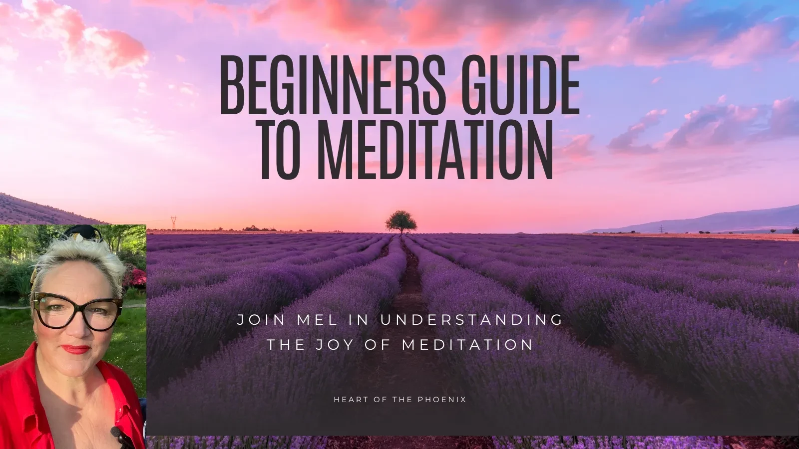 A Beginners Guide to Meditation lesson poster